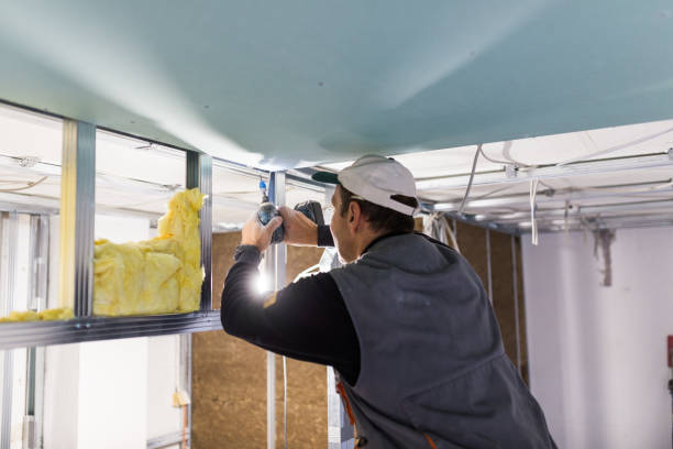 Best Residential Insulation in Cairo, IL