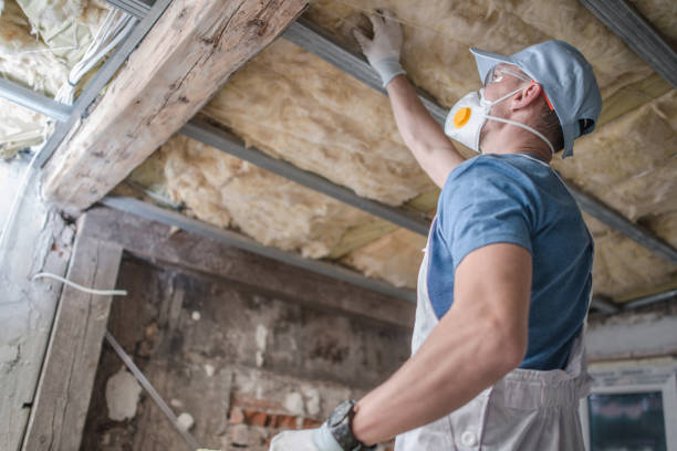 Best Energy Efficiency Insulation in Cairo, IL