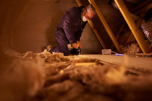 Best Cellulose Insulation in Cairo, IL